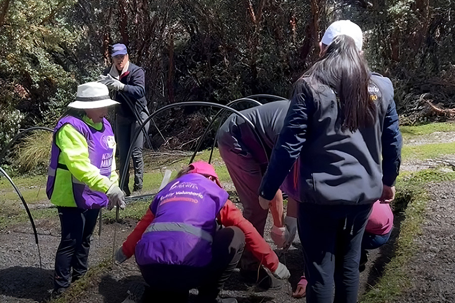 Corporación Favorita y GIRA siguen trabajando por alcanzar la meta de reforestación en Ecuador junto a su Voluntariado Corporativo