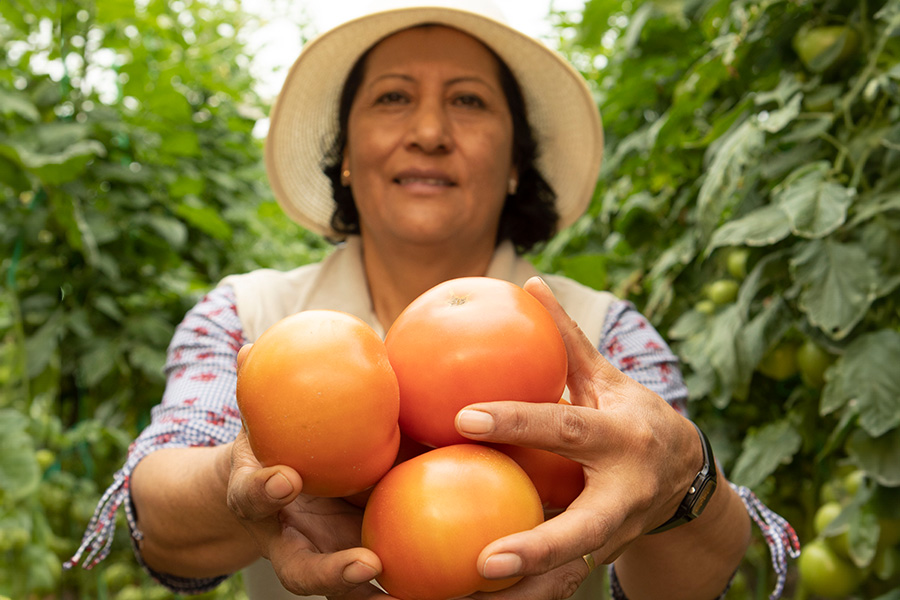 Productores de Valor: transformando vidas y mejorando la calidad de vida