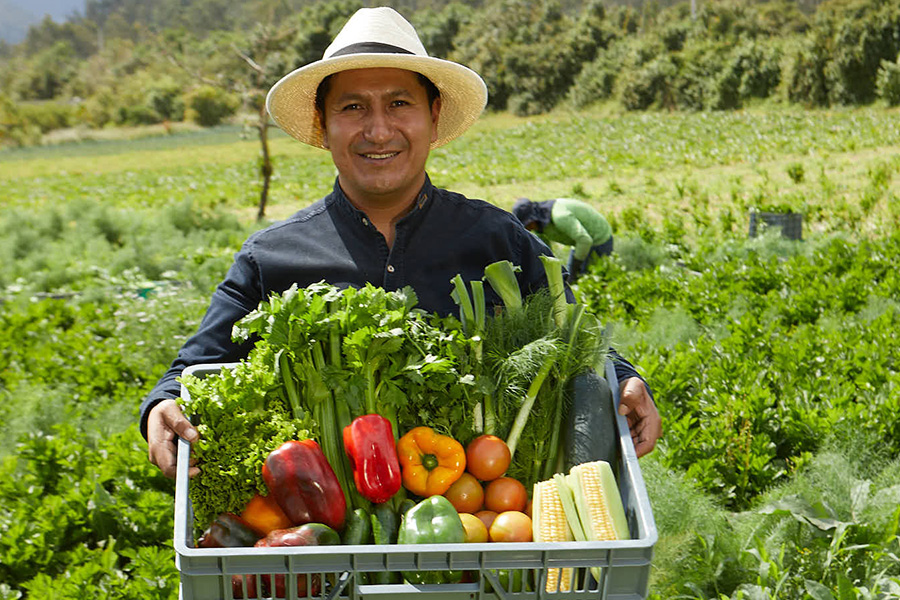 Productores de Valor: transformando vidas y mejorando la calidad de vida