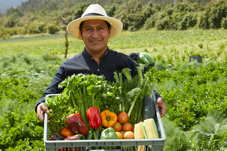 Productores de Valor: impulsando el desarrollo sostenible y el mejoramiento de la calidad de vida en el campo