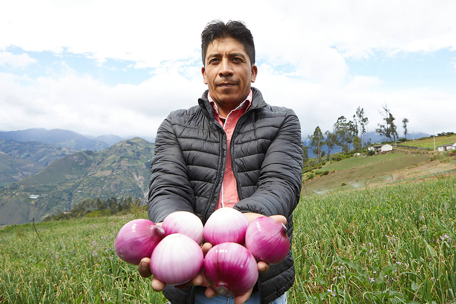 Productores de Valor: impulsando el desarrollo sostenible y el mejoramiento de la calidad de vida en el campo